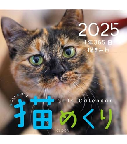 Amazon | 日めくりニャンコ！2025年(卓上日めくりカレンダー猫版) 本体